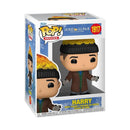 Funko Pop! Home Alone 2: Harry