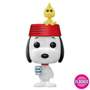 Funko Pop! Peanuts: Snoopy & Woodstock