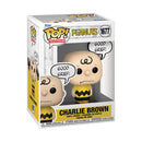 Funko Pop! Peanuts: Charlie Brown, Good Grief