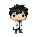 Funko Pop! Fairy Tail 100 Years Quest: Gray