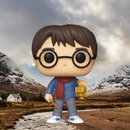Funko Pop! Harry Potter - Holiday Harry - Flashpopup.com